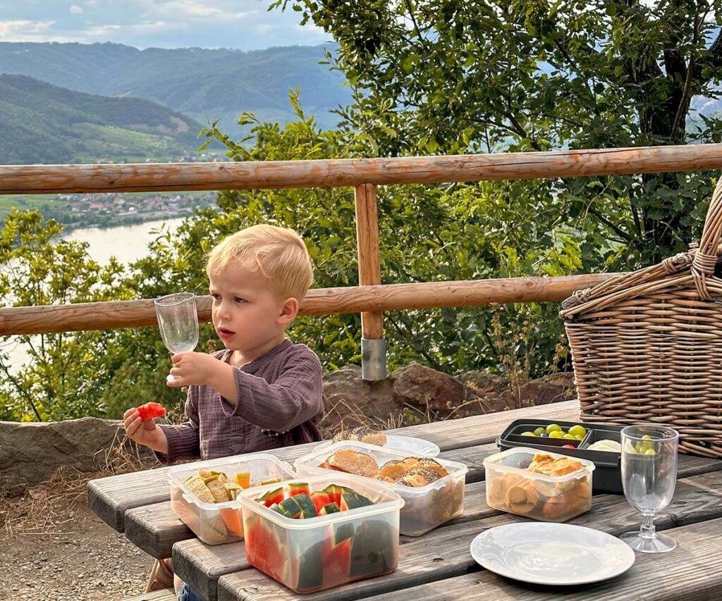 Ferdinandwarte_Wachau_Rastplatz_Picknick