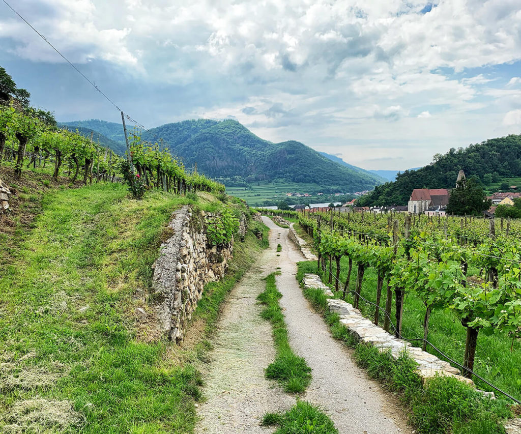 Wanderweg_Spitz_Wachau