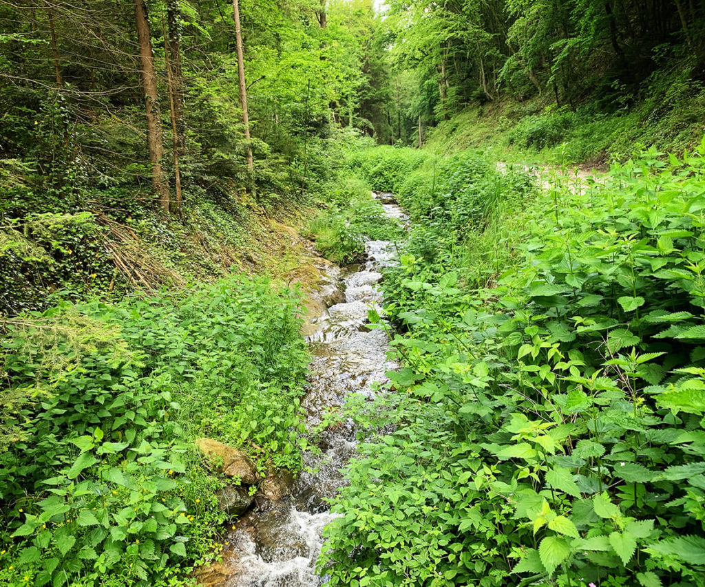 Welterbesteig_Wandern_Wachau