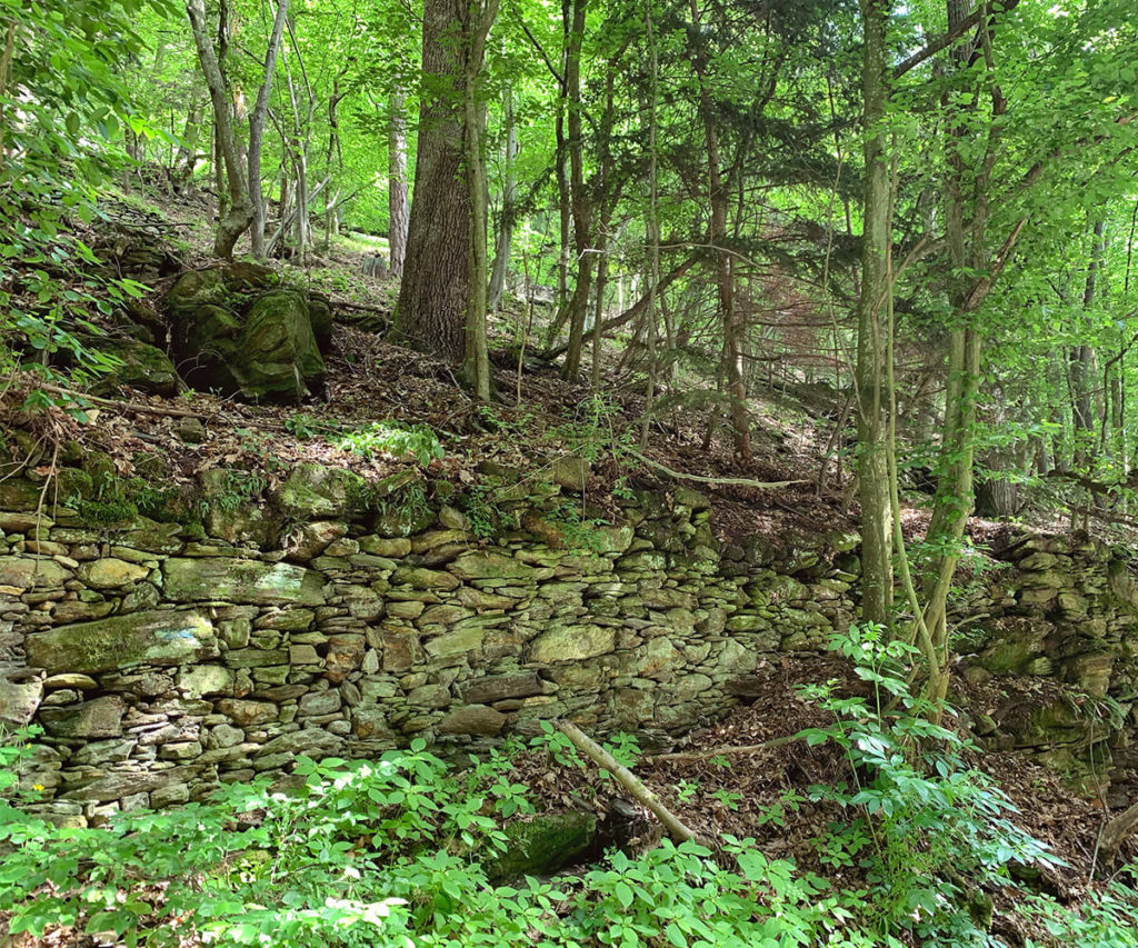 Weltkulturerbe_Wachau_Wandern