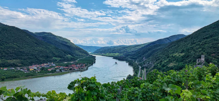1000Eimerberg Wachau Donau Spitz