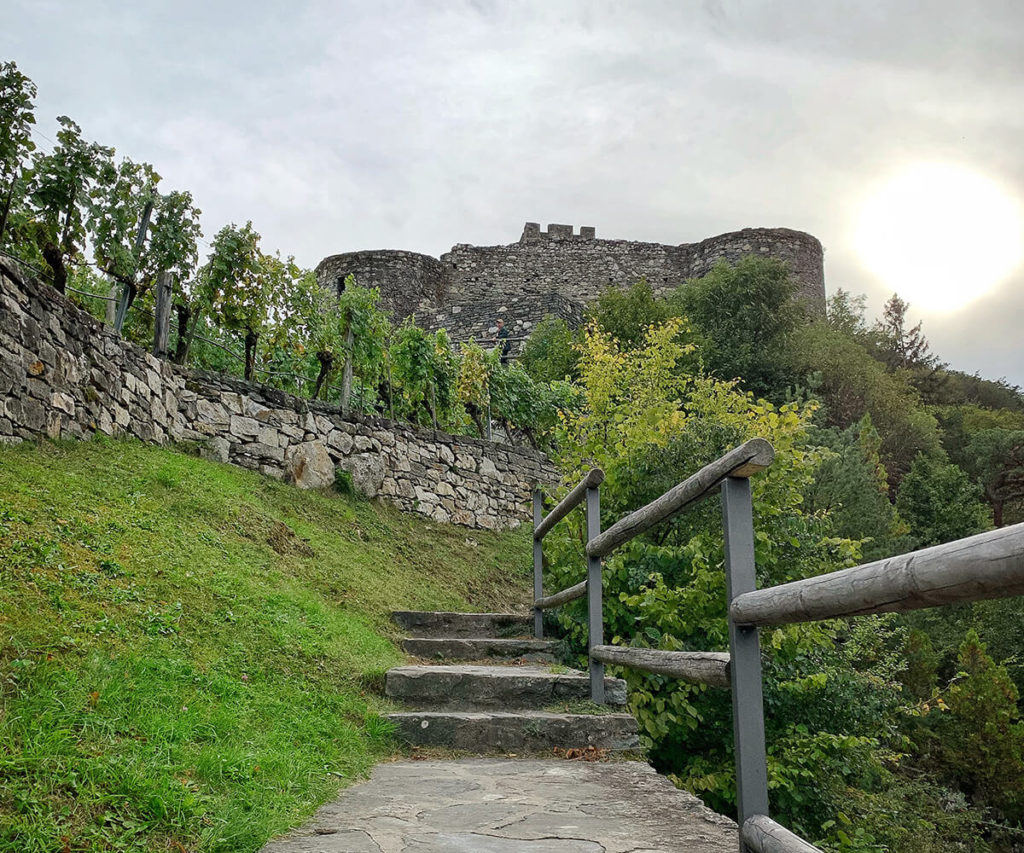 ruine_hinterhaus_wachau_spitz
