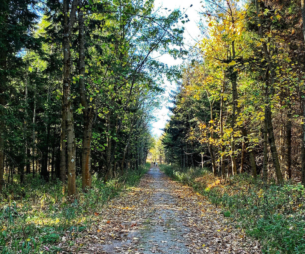welterbesteig wachau jauerling wandern