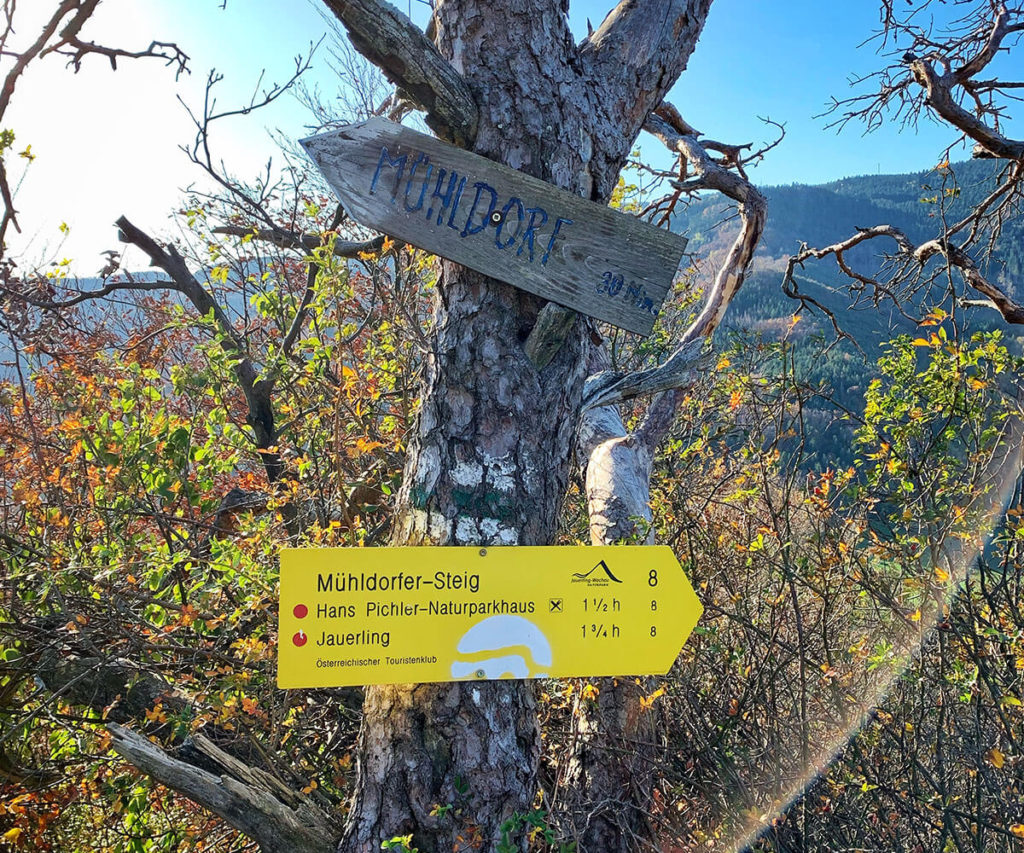 welterbesteig wachau trenning wandern