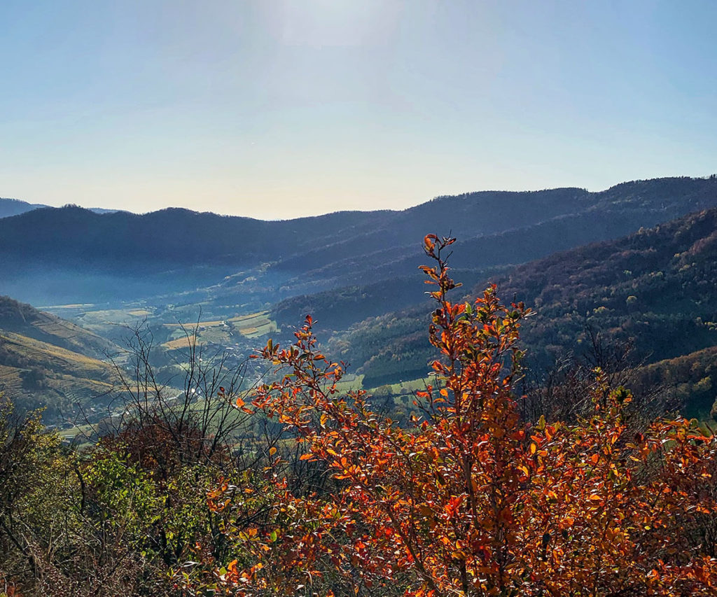 welterbesteig wachau trenning mühldorf