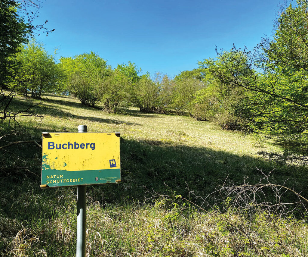 Buchberg_Spitz_Wachau