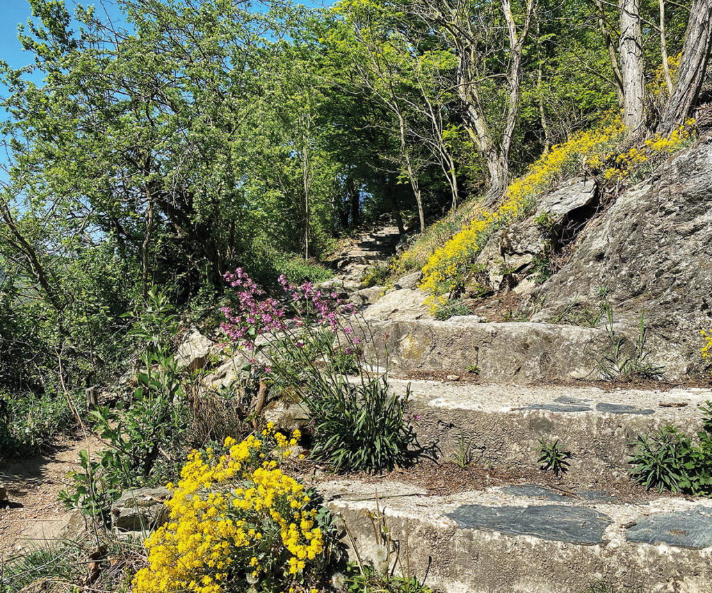 Dürnstein Wachau Empfehlung Eselsteig