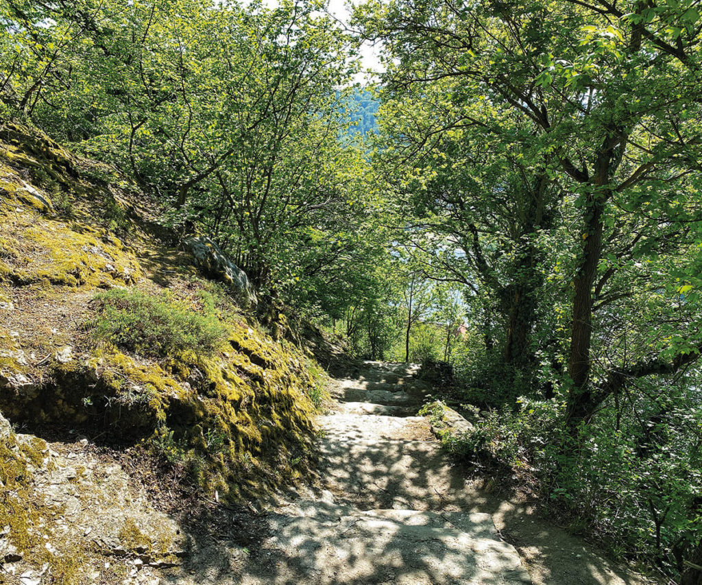 Dürnstein Wachau Empfehlung Eselsteig wandern