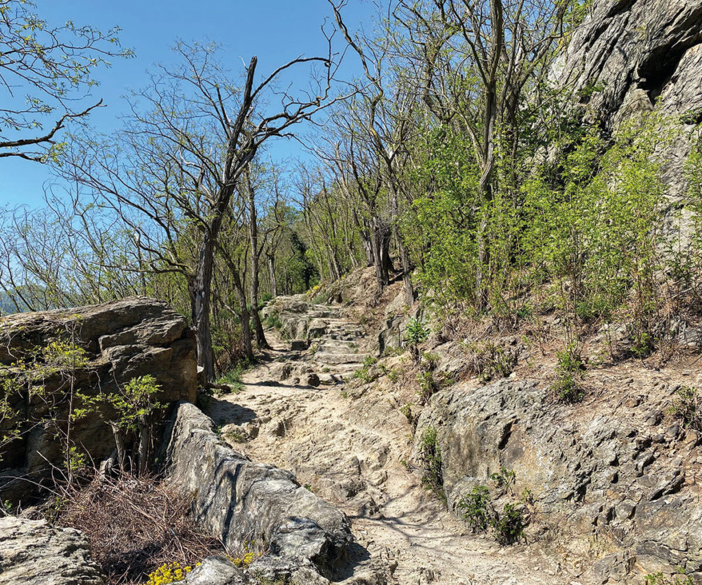 Dürnstein Wachau Empfehlung Ruinenweg