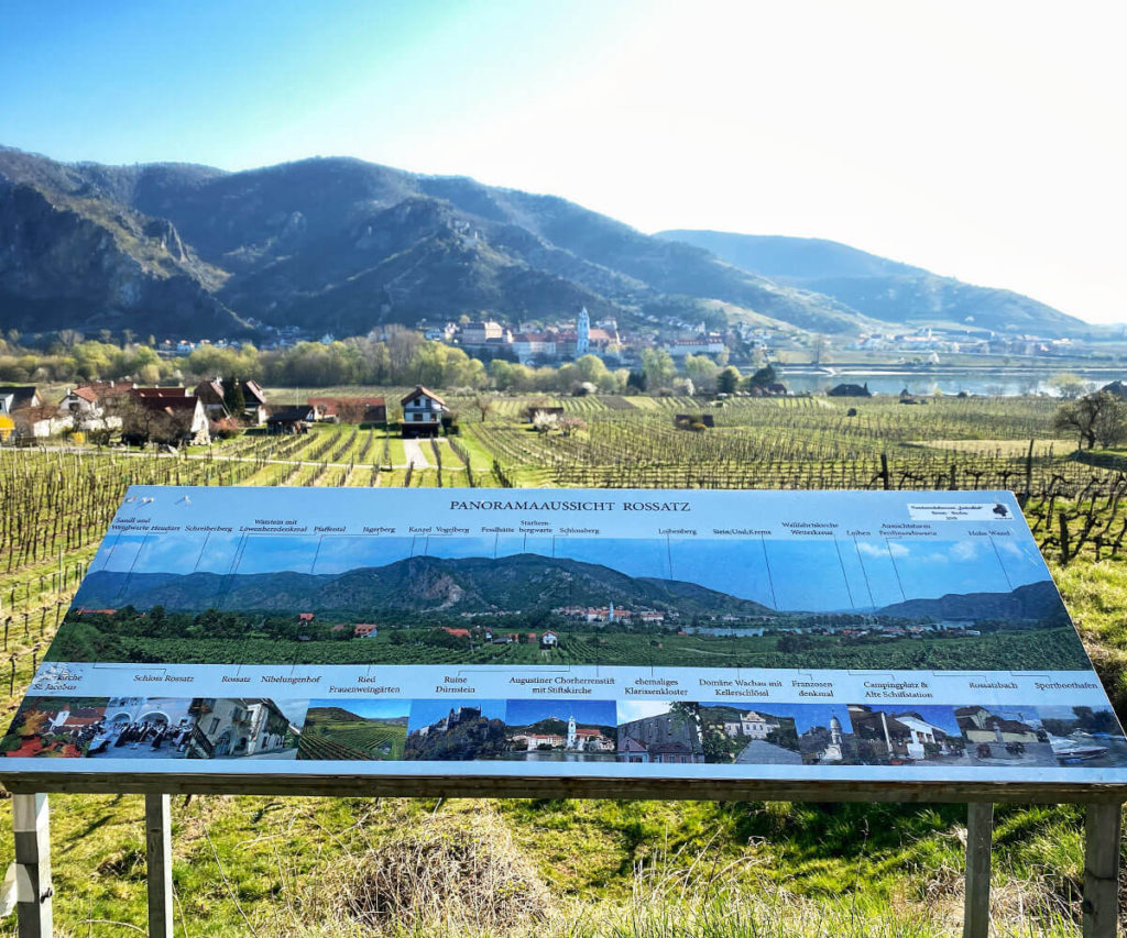 Panaromaweg_Wachau_Rossatz