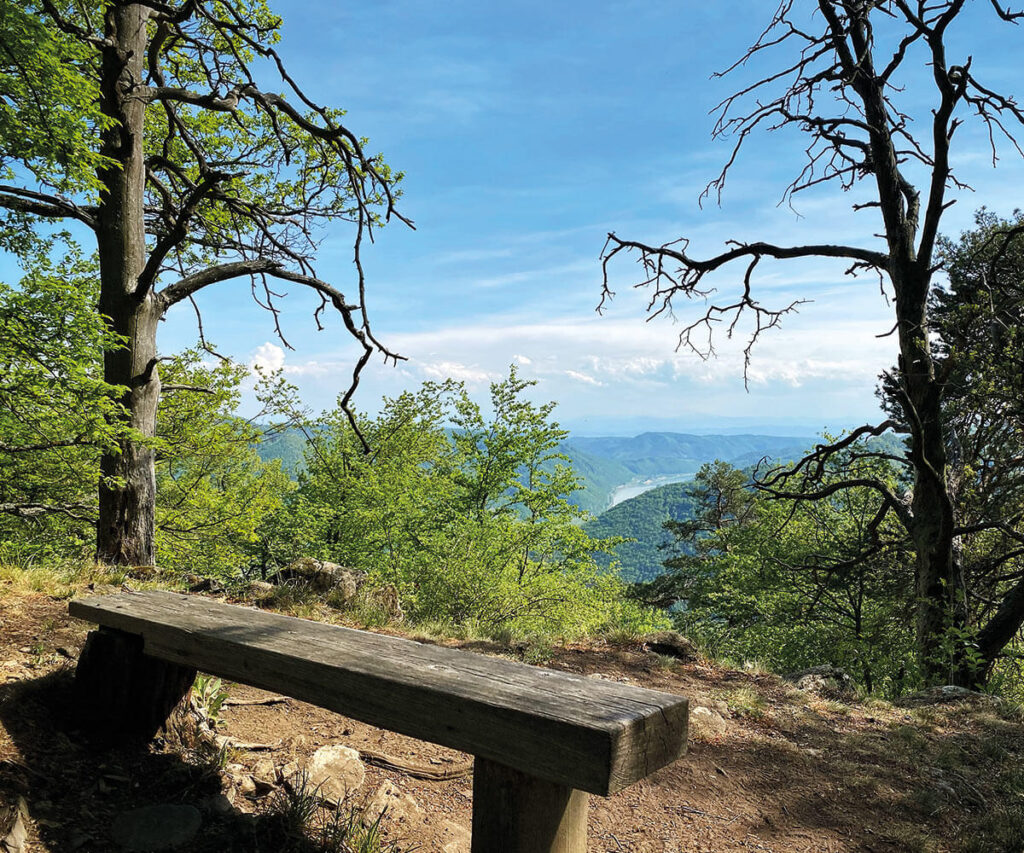 Wandern_Spitz_Wachau_Ausblick