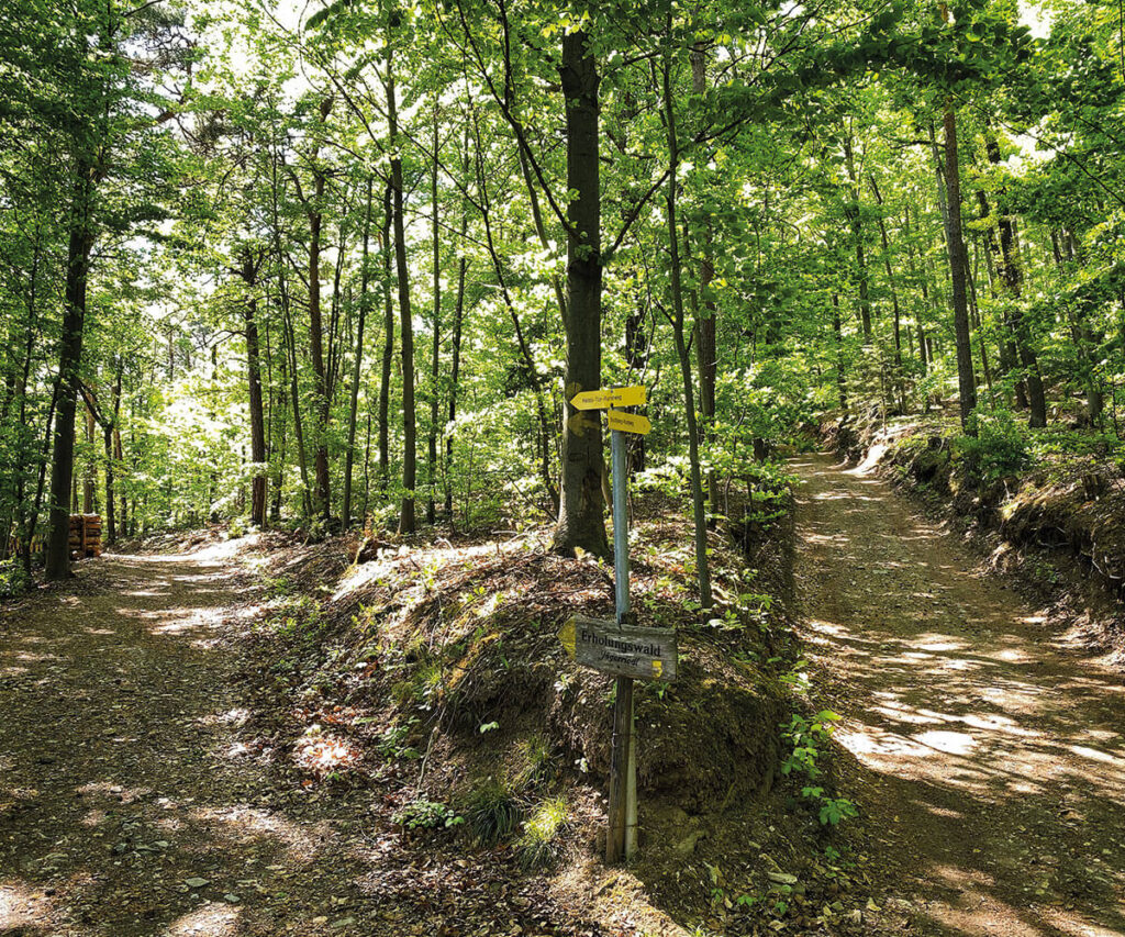 Wegweiser_Wandern_Spitz_Wachau