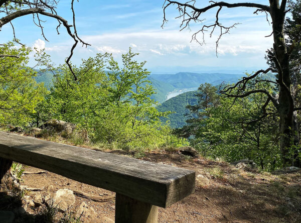 Wandern am Buchberg-Rundweg in Spitz
