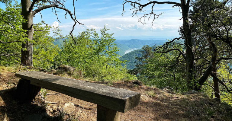 wandern Wachau Buchberg Spitz