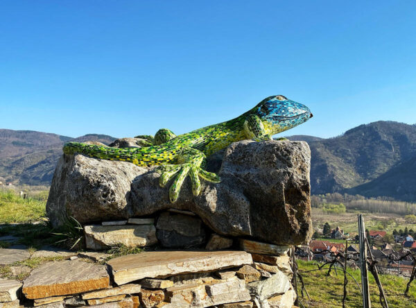 Wandern am Panoramaweg Rossatz