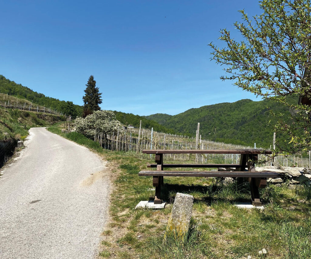 wandern_Wachau_Spitz