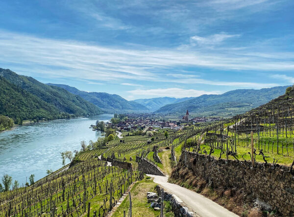 Wandern am Panoramaweg Achleiten Weißenkirchen