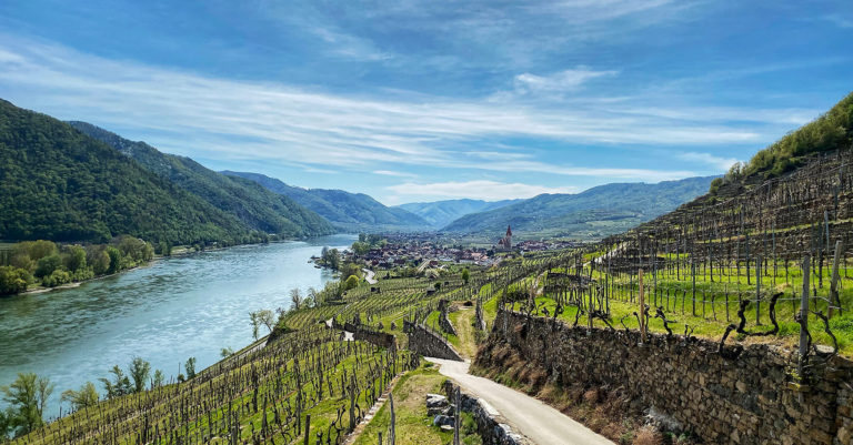 Wachau Wandern Weißenkirchen