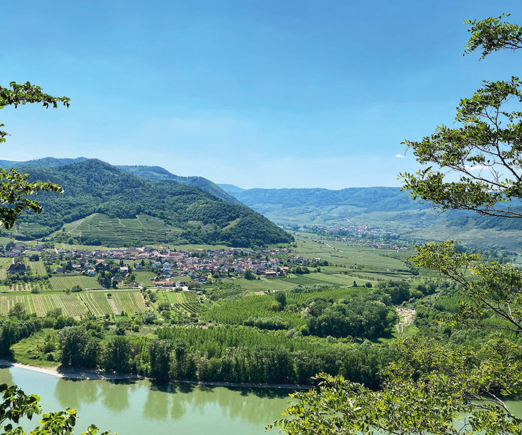 Ausblick_Wachau_Dürnstein_Wandern