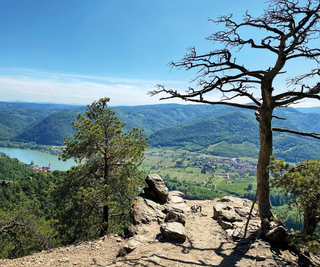 Ausblick_Kanzel_Dürnstein_Wachau_Wandern