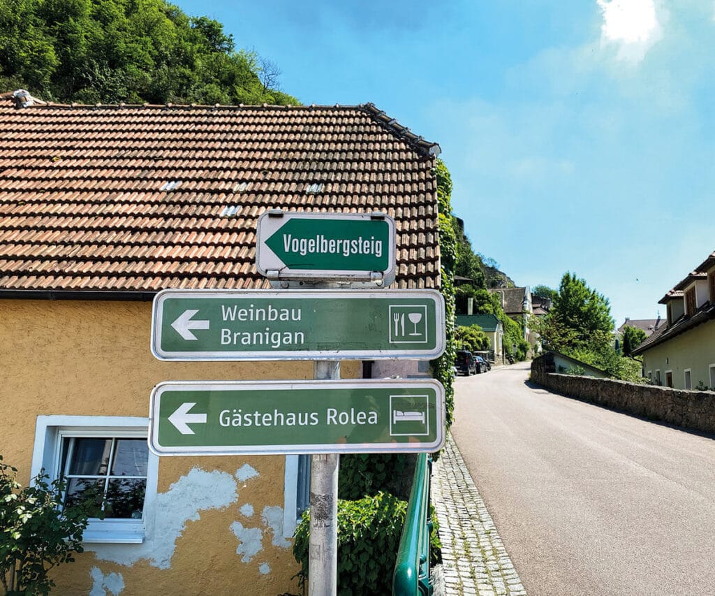Wachau_Wandern_Vogelbergsteig