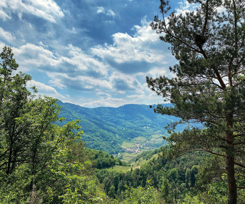 ausblick_spitz_wachau