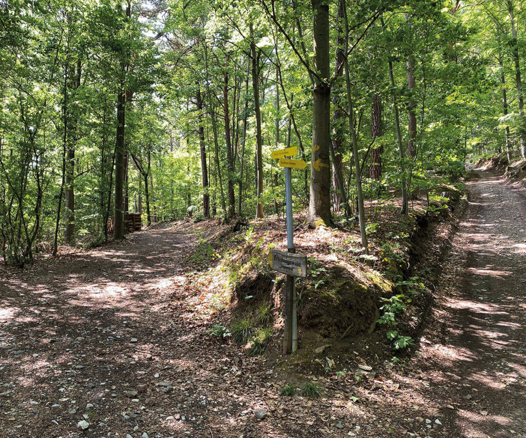 rotes-tor_Rundweg_Spitz_Wachau