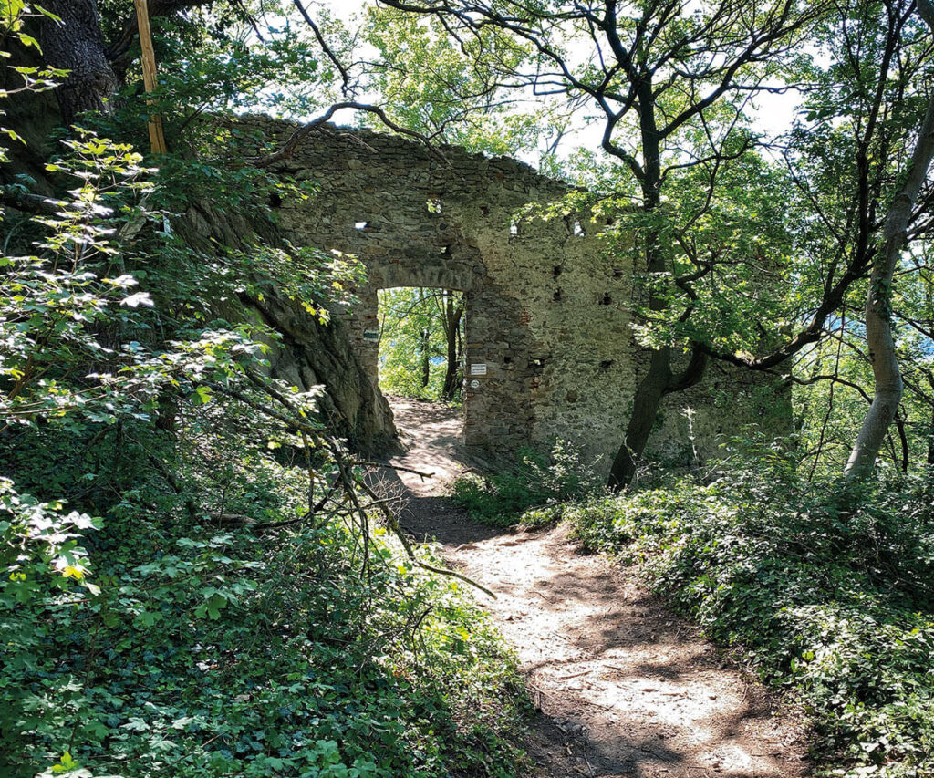 Waldpfad mit Überresten einer Mauer.