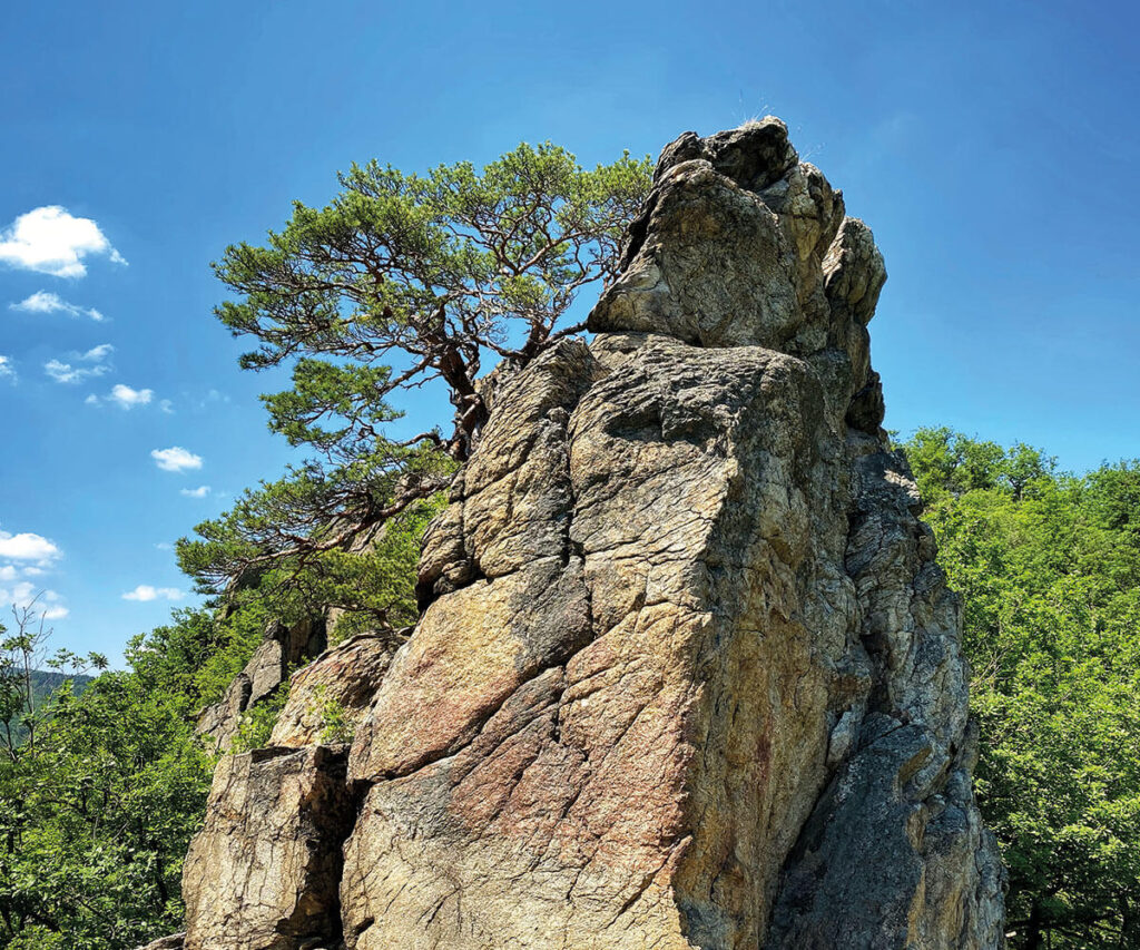 Felsformation am Vogelbergsteig Dürnstein in der Wachau.