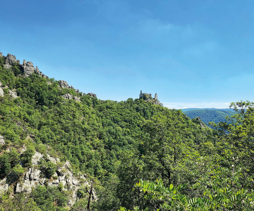 Blick auf die Ruine Dürnstein vom Vogelbergsteig in der Wachau.