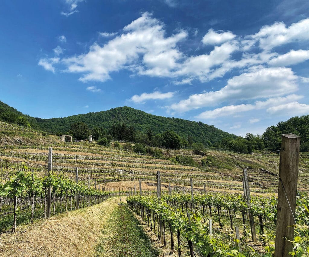 wachau_wandern_rotes-tor