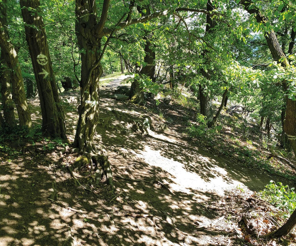 wandern_wachau_welterbesteig