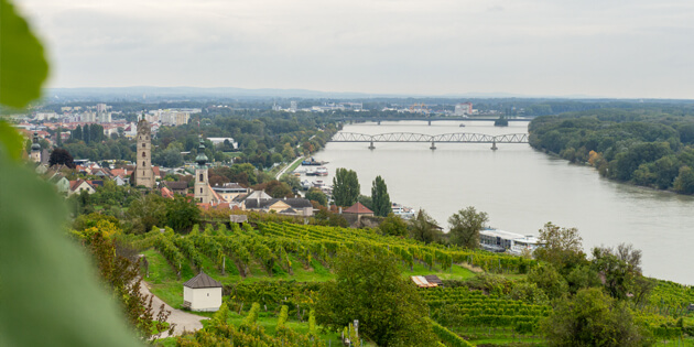 Ausblick vom Welterbesteig Etappe 1 von Krems Richtung Dürnstein auf die Donau