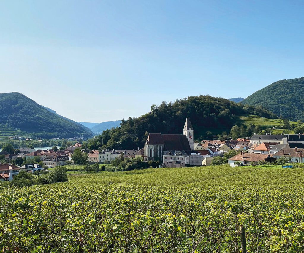 ausblick_spitz_wachau