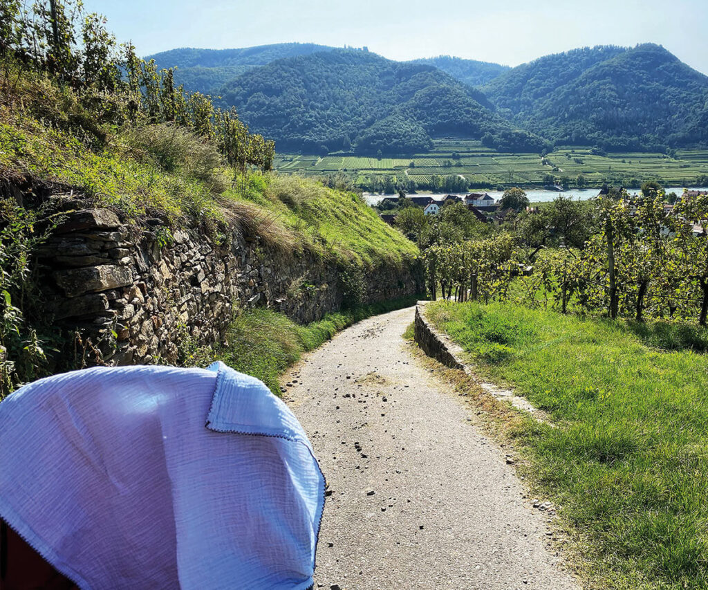 wandern_weingeistweg_wachau