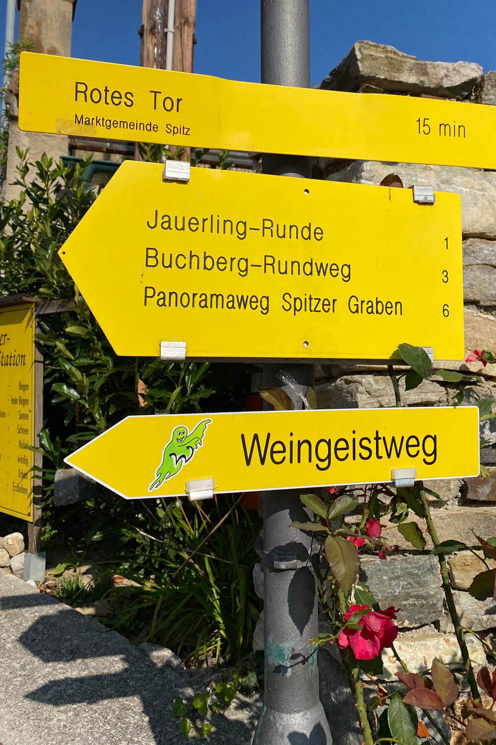 wandern_wachau_spitz_weingeistweg