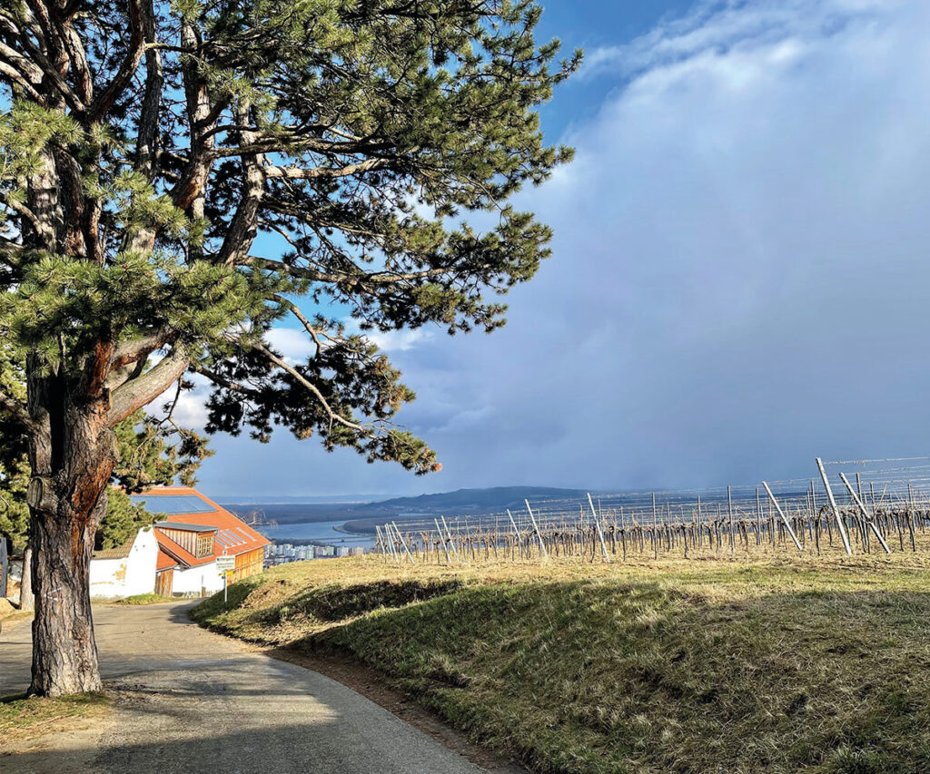 krems_armensündergraben