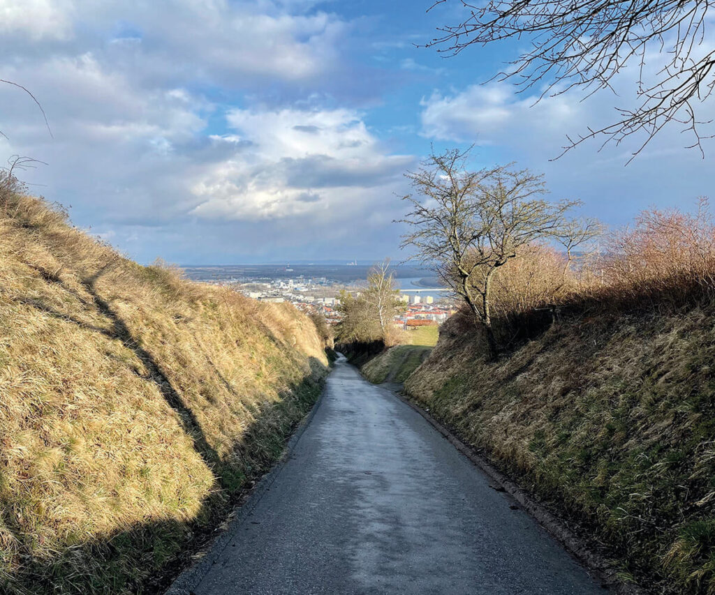 krems_wandern_wachau