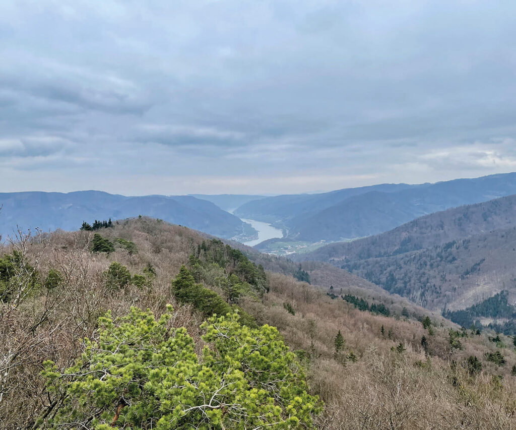 ausblick_grubewarte_wachau