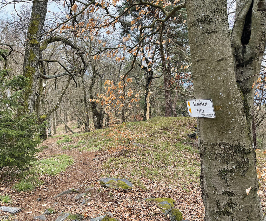 gruberwarte_wandern_wachau