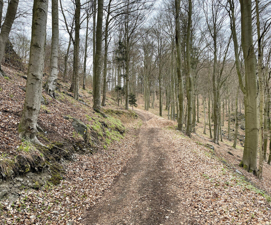 grubewarte_wachau_wandern