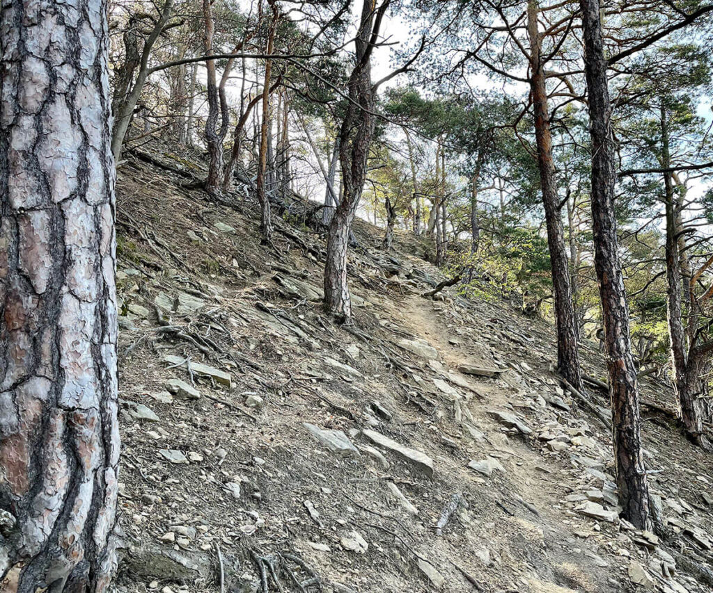 hirschwand_wanderung_wachau