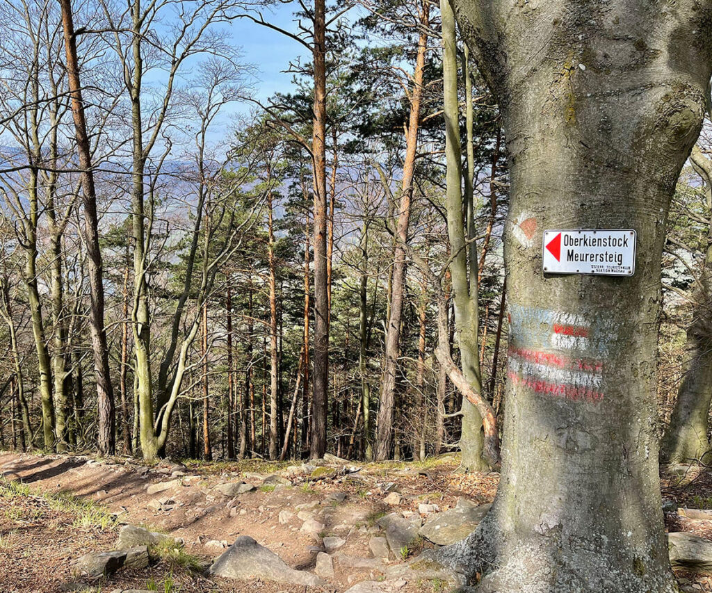 meurersteig_oberkienstock