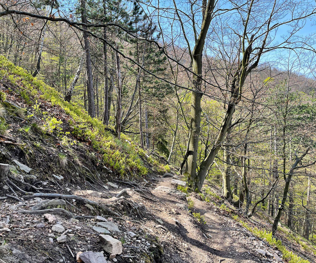 meurersteig_wachau_seekopf