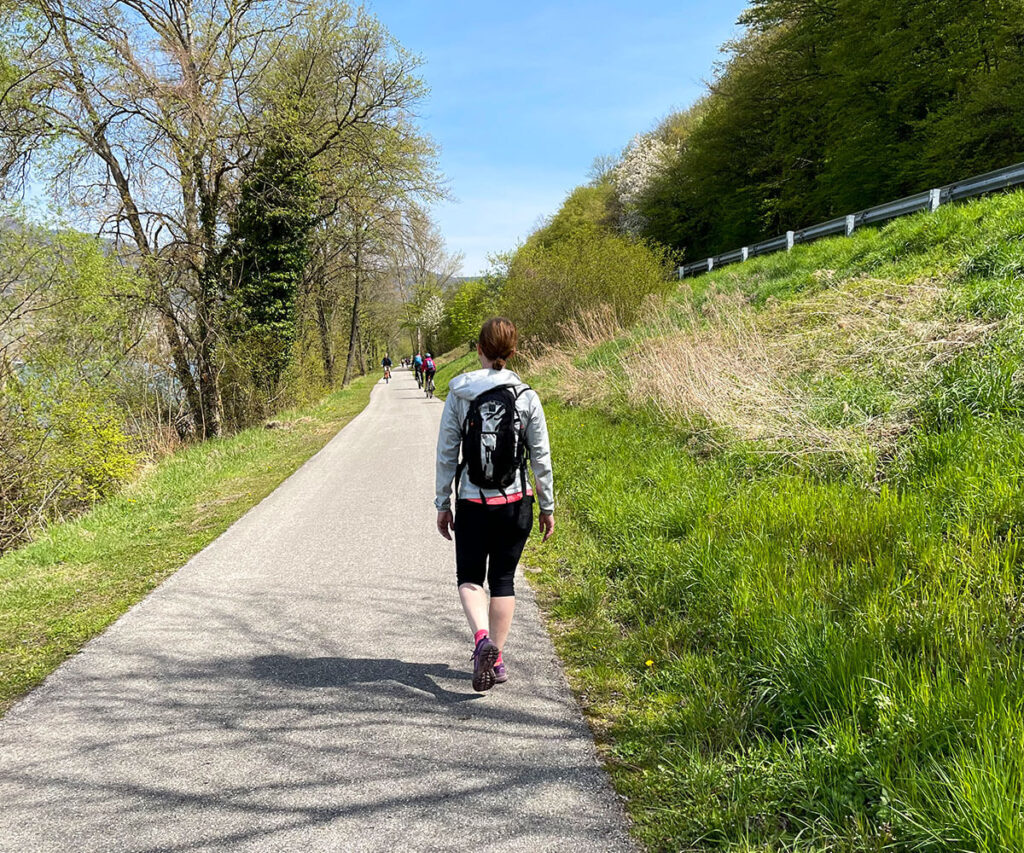 treppelweg_wachau