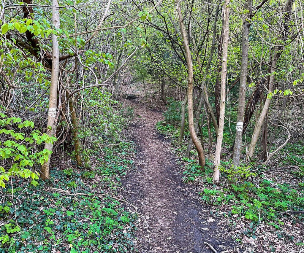 wandern_hirschwand_wachau