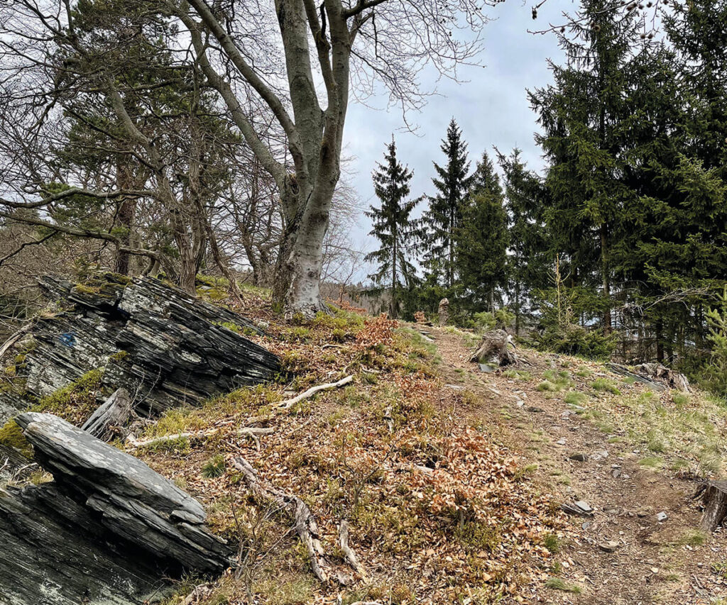 wanderweg_grubewarte_wachau