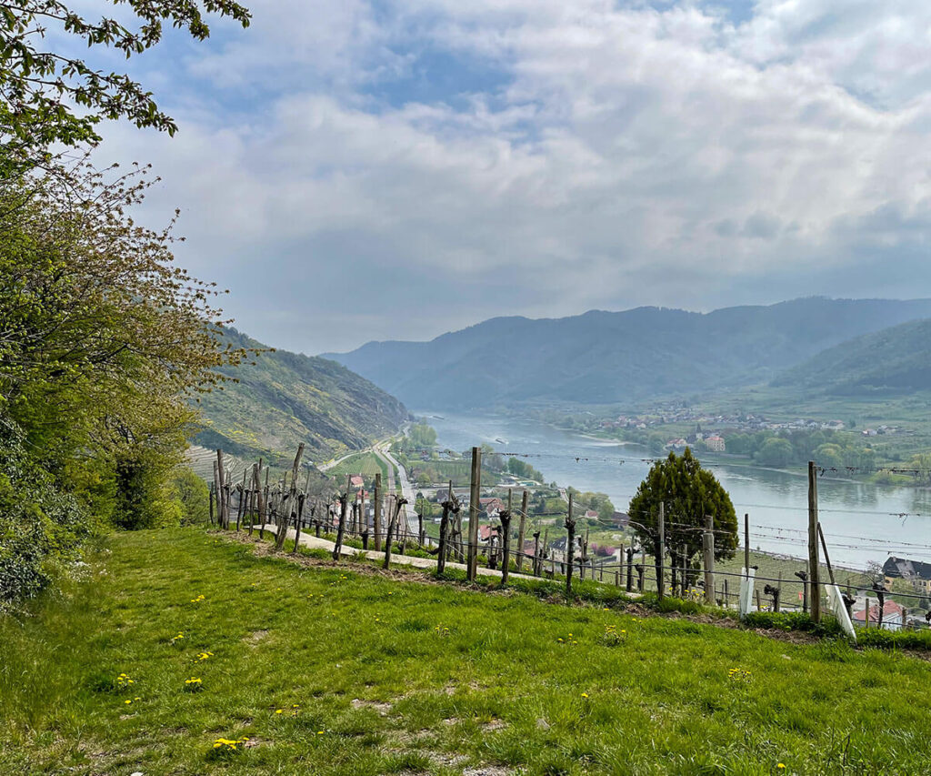 Tausendeimerberg_Spitz_Wachau_Donau