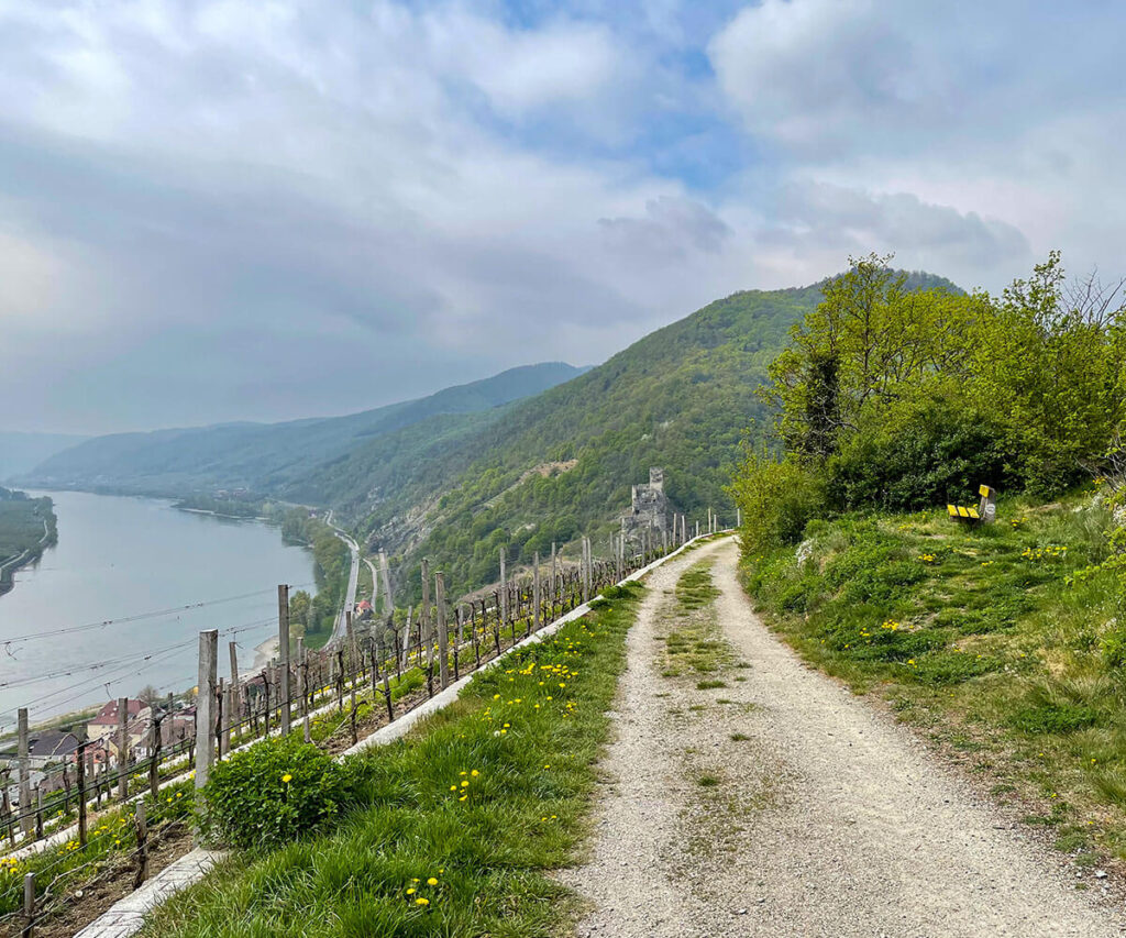 Tausendeimerberg_Spitz_Wachau_Hinterhaus