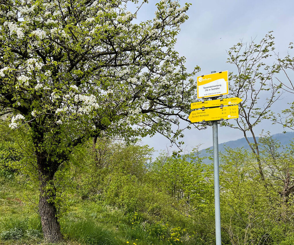 Tausendeimerberg_Spitz_Wachau_Wegweiser